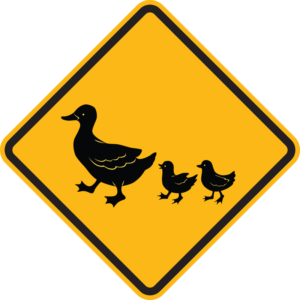 Duck Warning Street Sign