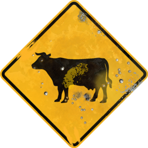 Vintage looking sign with a cow and digitally printed bullet holes.