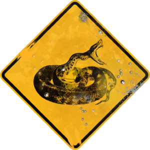 Street Sign with Rattle Snake symbol. Vintage looking sign with digitally printed bullet holes.