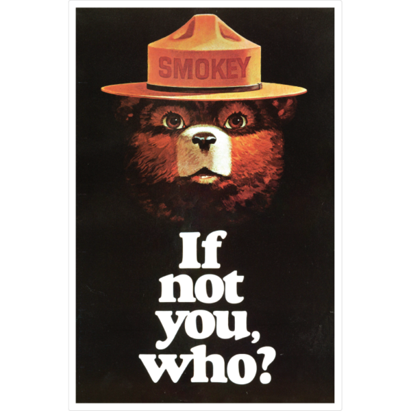 Smokey Bear In The Dark