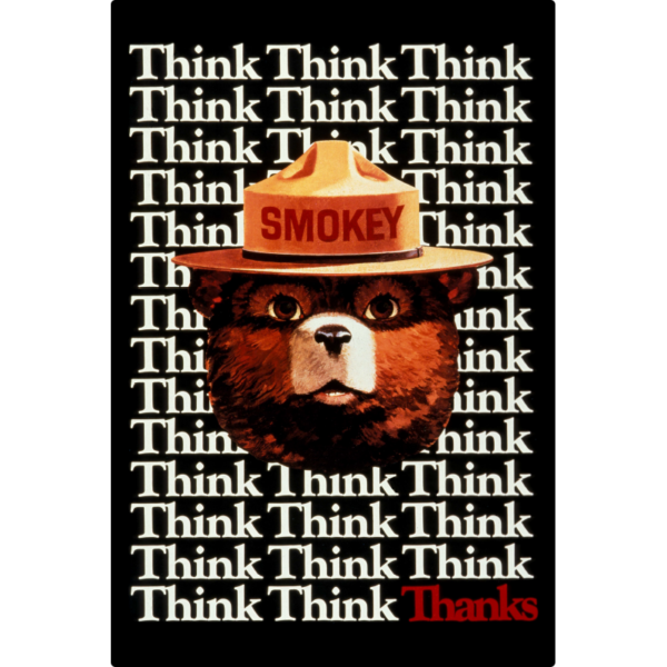Smokey Bear THINK