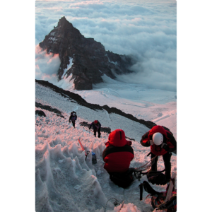 Mount Rainier Mountaineer