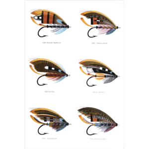 The Salmon Fly