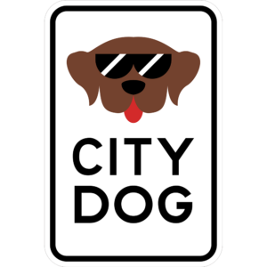 City Dog