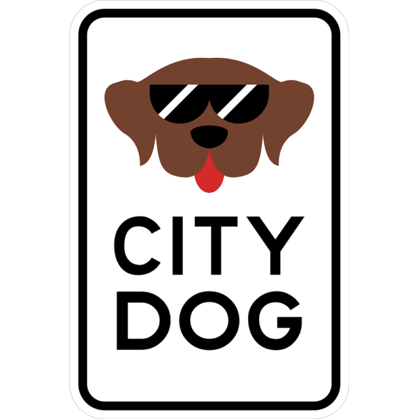 City Dog