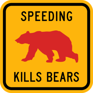 Speeding Kills Bears