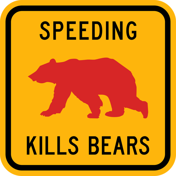 Speeding Kills Bears