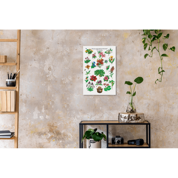 Smokey Bears Flowers aluminum print on a textured wall with houseplants on a shelf.