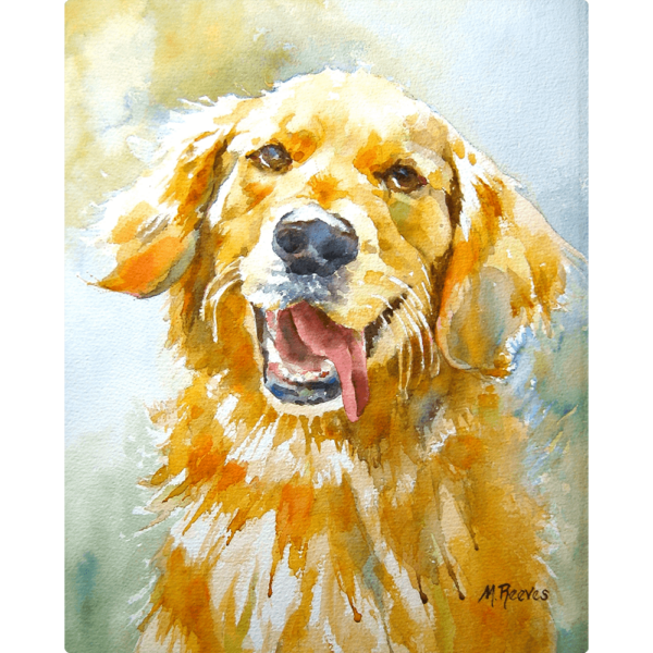 Golden Retriever Painting - All Smiles , A print of All Smiles, an original watercolor painting printed on aluminum.