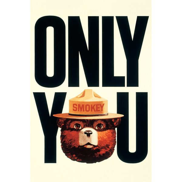 Smokey the Bear's Head in his iconic hat on a background that says