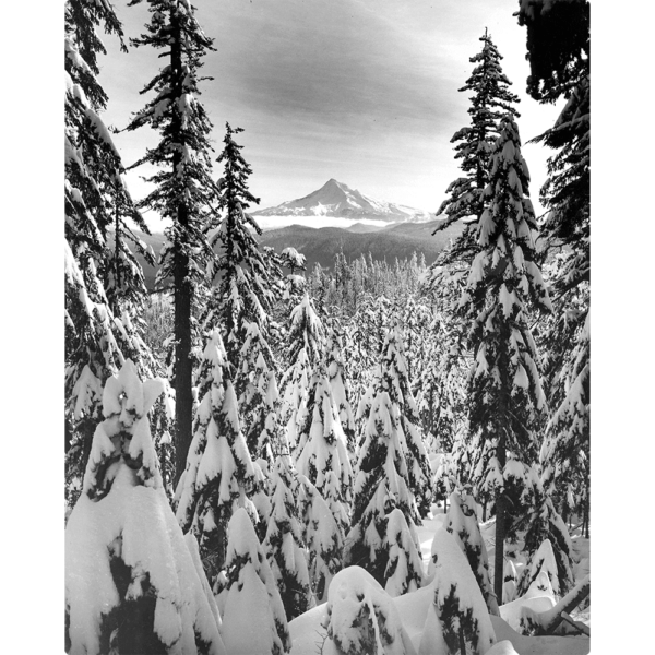 Ray Atkeson's black and white photograph titled: Mt. Hood from Larch Mountain Oregon.