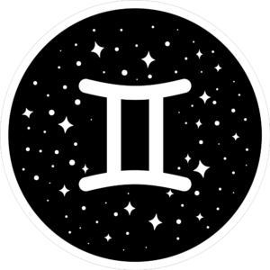 Gemini Sign